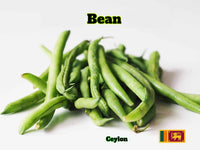 Bean (බෝංචි / அவரை ) 1 lb