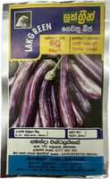 LakGreen Brinjal Seeds