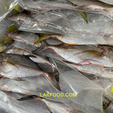Fresh Sri Lankan Parawa Fish - 2LB ($9.99/LB)