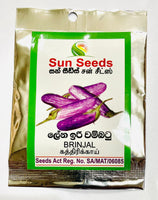 Brinjal Seeds